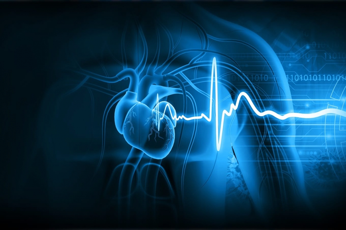 EKG a echo serca - porównanie